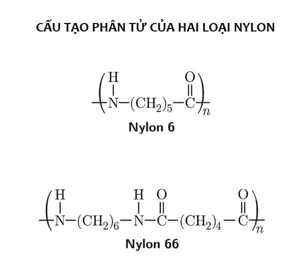 Sơ đồ cấu tạo phân tử của hai loại nylon: chuỗi Nylon 6 lặp lại một mắt xích duy nhất gồm nhóm N-H, năm nhóm CH2 và một nhóm C=O; chuỗi Nylon 66 lặp lại một mắt xích dài hơn, ghép từ hai phân đoạn sáu carbon
