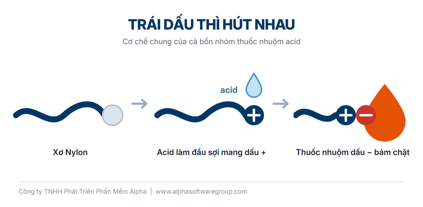 Ba bước giải thích vì sao thuốc nhuộm acid bám được vào xơ Nylon: đầu tiên là sợi Nylon với đầu mạch chưa mang điện; cho acid vào thì đầu sợi mang dấu cộng; giọt thuốc nhuộm mang dấu trừ bị hút vào và bám chặt lấy đầu sợi