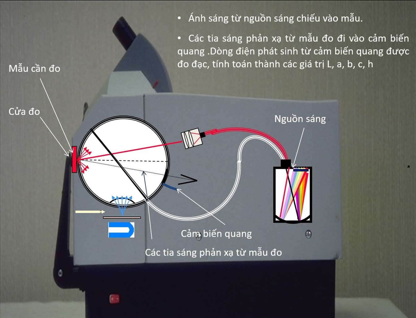 Sơ đồ nguyên lý máy quang phổ đo màu: nguồn sáng chiếu qua cửa đo vào mẫu vải, các tia phản xạ đi vào cảm biến quang, dòng điện phát sinh được tính thành các giá trị L, a, b, c, h